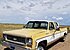 1974 Chevrolet C/K Truck Cheyenne Super for sale 101058342